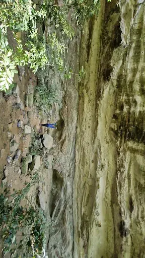 Foto 5 de Acesso à Gruta do Carrapicho