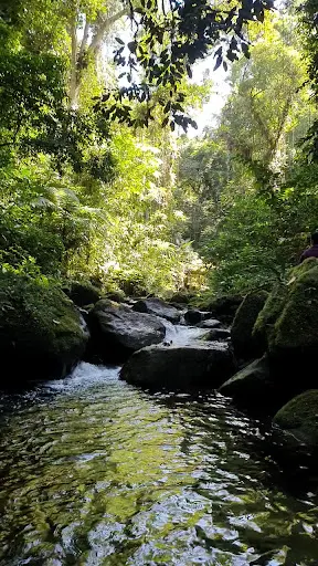 Foto 18 de Cachoeira do Elefante - Biritiba Mirim