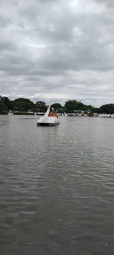 Foto 6 de Pedalinho do lago - Parque Ecológico