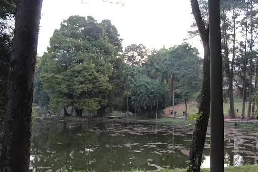 Foto 32 de Parque Horto Florestal - Portões 1 e 2
