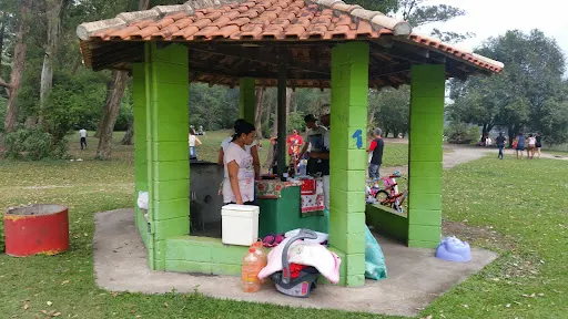 Foto 28 de Centro de Educação Ambiental - Parque Ecológico do Tietê