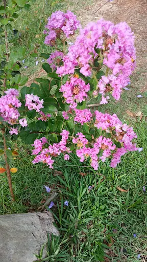 Foto 31 de Parque Linear Tiquatira - Eng. Werner Eugênio Zulauf