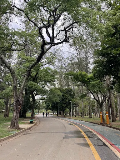 Foto 28 de Parque Ibirapuera