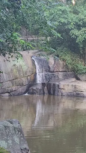 Foto 27 de Trilha Cachoeira da Graça