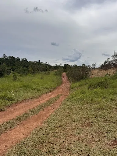 Foto 6 de Cachoeira do Vau Novo