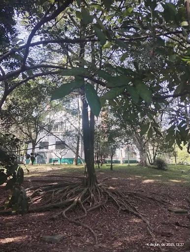 Foto 40 de Parque Horto Florestal - Portão 5