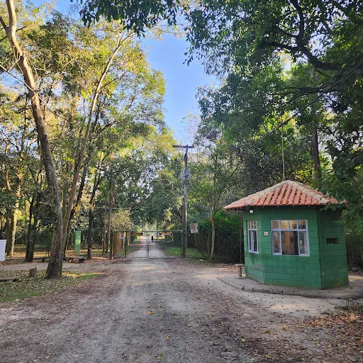 Foto 20 de Centro de Educação Ambiental - Parque Ecológico do Tietê