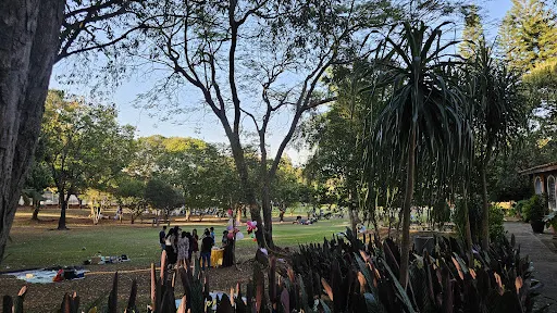 Foto 25 de Parque Zeca Malavazzi
