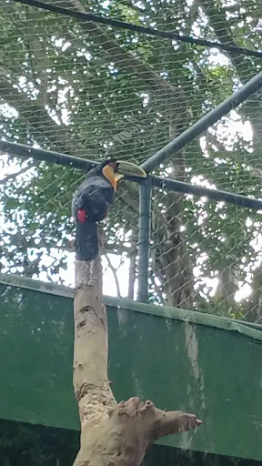 Foto 27 de Zoo São Paulo