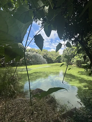 Foto 7 de Parque Ecológico Dionísio Alvarez Mateos