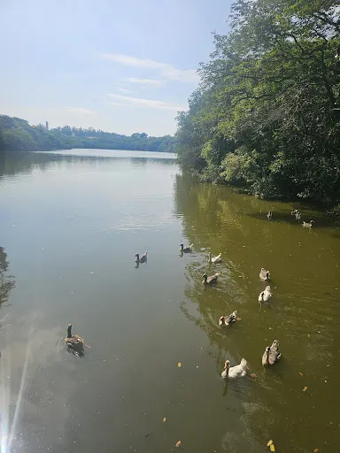 Foto 24 de Parque Ecológico Prof. Hermógenes de Freitas Leitão