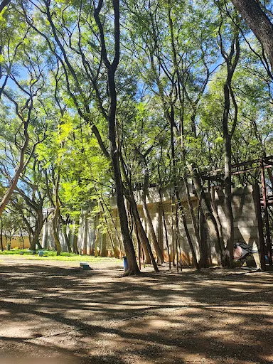 Foto 29 de Parque da Juventude