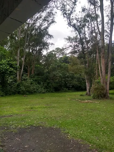 Foto 21 de Centro de Educação Ambiental - Parque Ecológico do Tietê