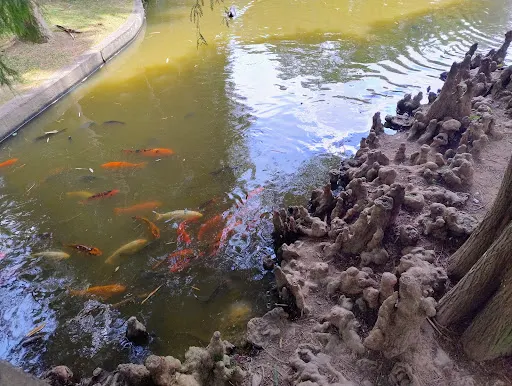 Foto 6 de Palácio do Horto Florestal (Palácio de Verão do Governador)