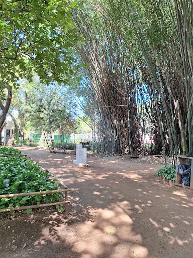Foto 12 de Parque Trote