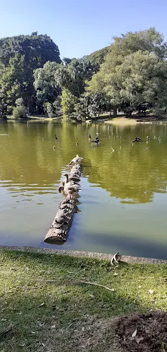 Foto 16 de Parque Horto Florestal - Portões 1 e 2