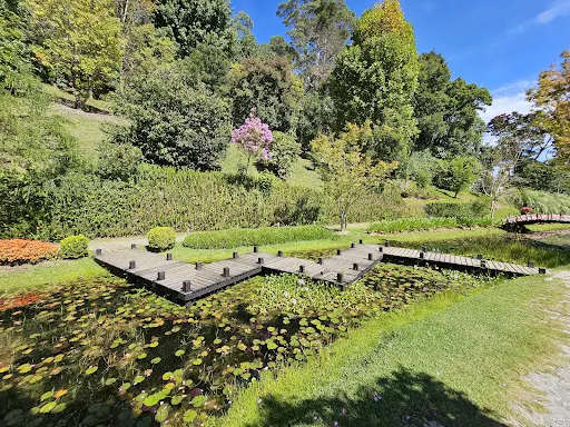 Foto 20 de Parque Amantikir