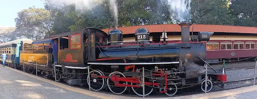 Foto 37 de Passeio de trem - Maria Fumaça Campinas