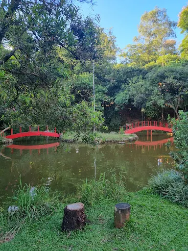 Foto 10 de Parque Takebe
