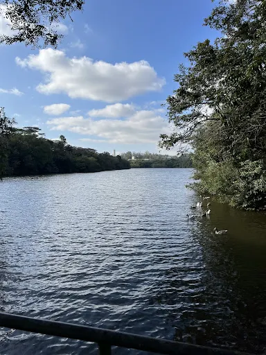 Foto 12 de Parque Ecológico Prof. Hermógenes de Freitas Leitão