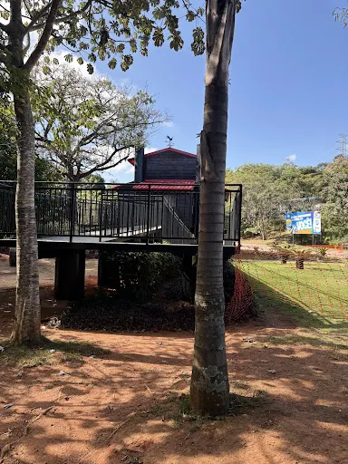 Foto 35 de Mundo das Crianças