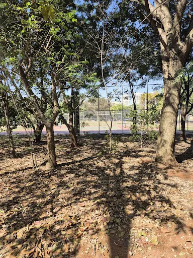 Foto 32 de Parque Estadual do Belém Manoel Pitta