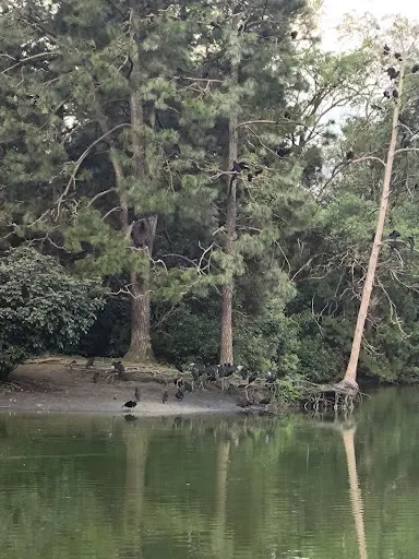 Foto 17 de Parque Ecológico do Tietê