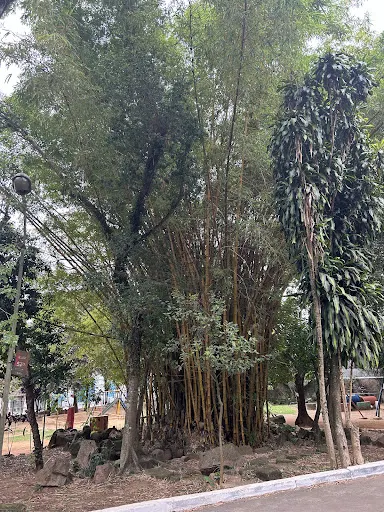 Foto 29 de Parque Ecológico Chico Mendes