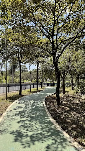 Foto 6 de Parque do Paço