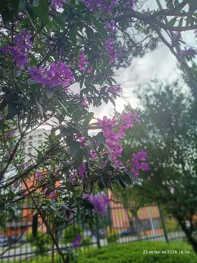 Foto 17 de Parque Ecológico Profª Lydia Natalizio Diogo - Vila Prudente