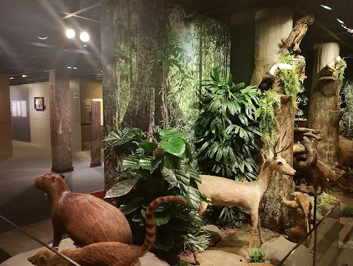 Foto 34 de Museu Histórico da Imigração Japonesa no Brasil