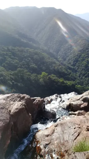 Foto 20 de Parque estadual Águas da Billings