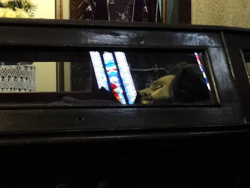 Foto 36 de Catedral Metropolitana Nossa Senhora da Assunção