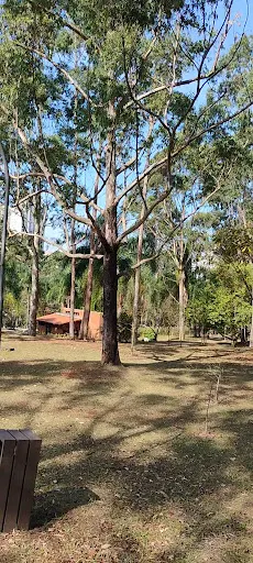 Foto 39 de Parque Ecológico Profª Lydia Natalizio Diogo - Vila Prudente