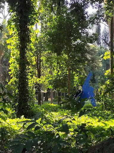 Foto 26 de Pinacoteca de São Paulo