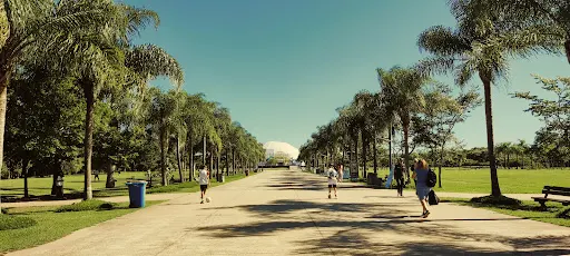 Foto 40 de Parque Villa-Lobos
