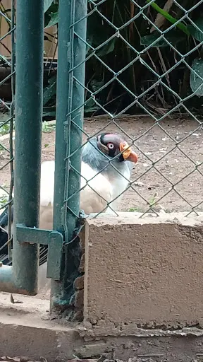 Foto 40 de Zoo São Paulo