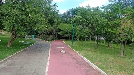 Foto 40 de Parque dos Jacarandás