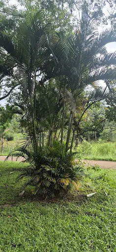 Foto 29 de Praça Vinícius de Moraes