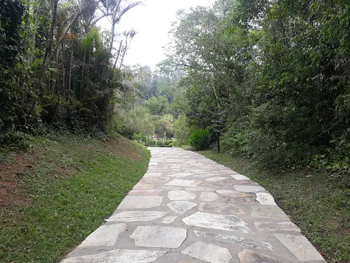 Foto 21 de Borboletário de São Paulo