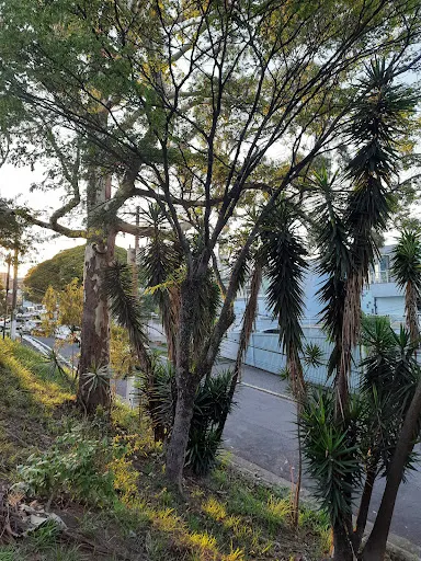Foto 11 de ParCão Lapa - Praça Amadeu Decome