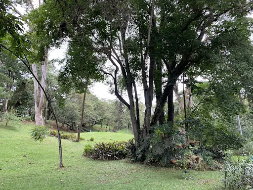 Foto 23 de Jardim Botânico de São Paulo