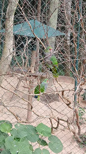 Foto 26 de Zoo São Paulo