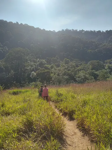 Foto 36 de Trilha Cachoeira da Graça