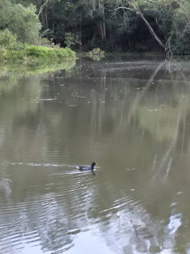 Foto 13 de Pousada 4 Luas