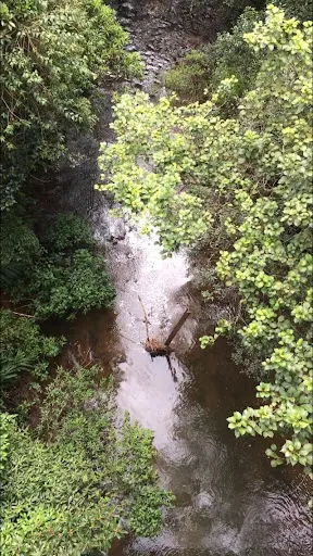 Foto 9 de Ribeirão dos Monos