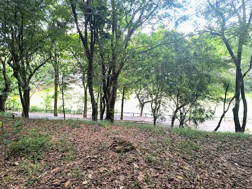Foto 29 de Parque Ecológico Dionísio Alvarez Mateos