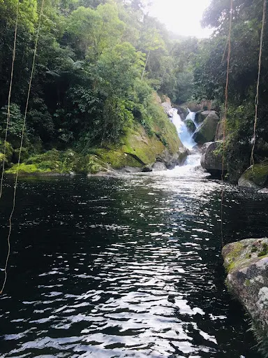 Foto 15 de Cachoeira do Rio Guacá
