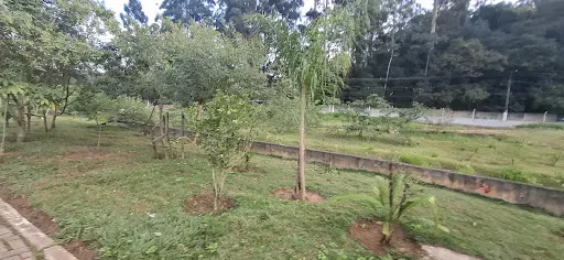 Foto 36 de Parque Ecológico Fernando Vitor de Araújo Ales (Pq. do Eldorado)