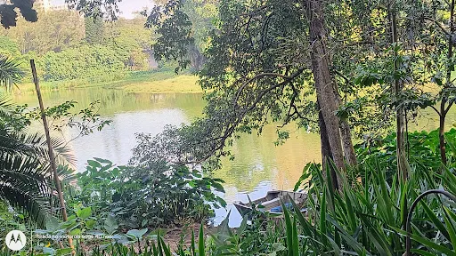 Foto 26 de Parque da Aclimação
